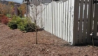 high white picket fence backyard
